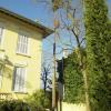 démontage d'un Cyprès entre une maison et des lignes éléctriques