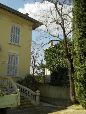 démontage d'un Cyprès entre une maison et des lignes éléctriques